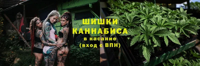 MEGA ONION  Вытегра  Бошки Шишки Ganja  купить  